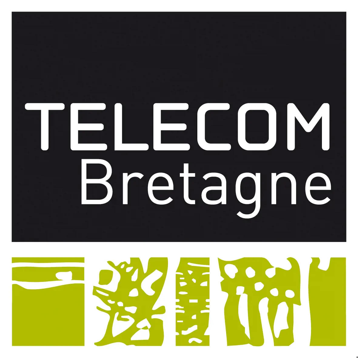 Telecom Bretagne Logo